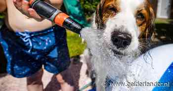 Grondwaterverbod bij tien natuurgebieden: mag je je tuin nog sproeien?