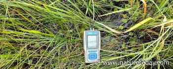 Landelijke monitoring systeemherstel natuur