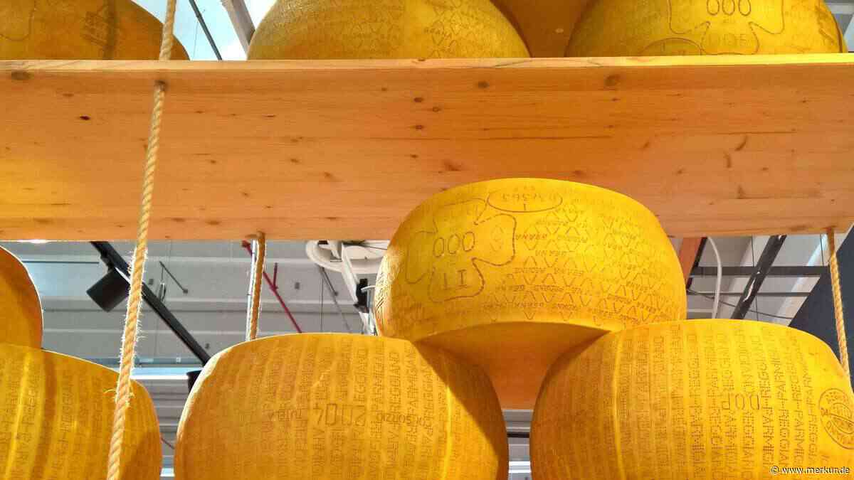 Hitze bedroht Italiens Käse-Bank: Als Kreditsicherheit genutzte Parmesan-Laibe in Gefahr