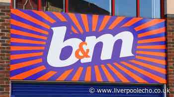 B&M £6 autumn décor is 'perfect for doors and windows'