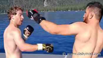 Mark Zuckerberg spars ex-UFC champion in the middle of Lake Tahoe