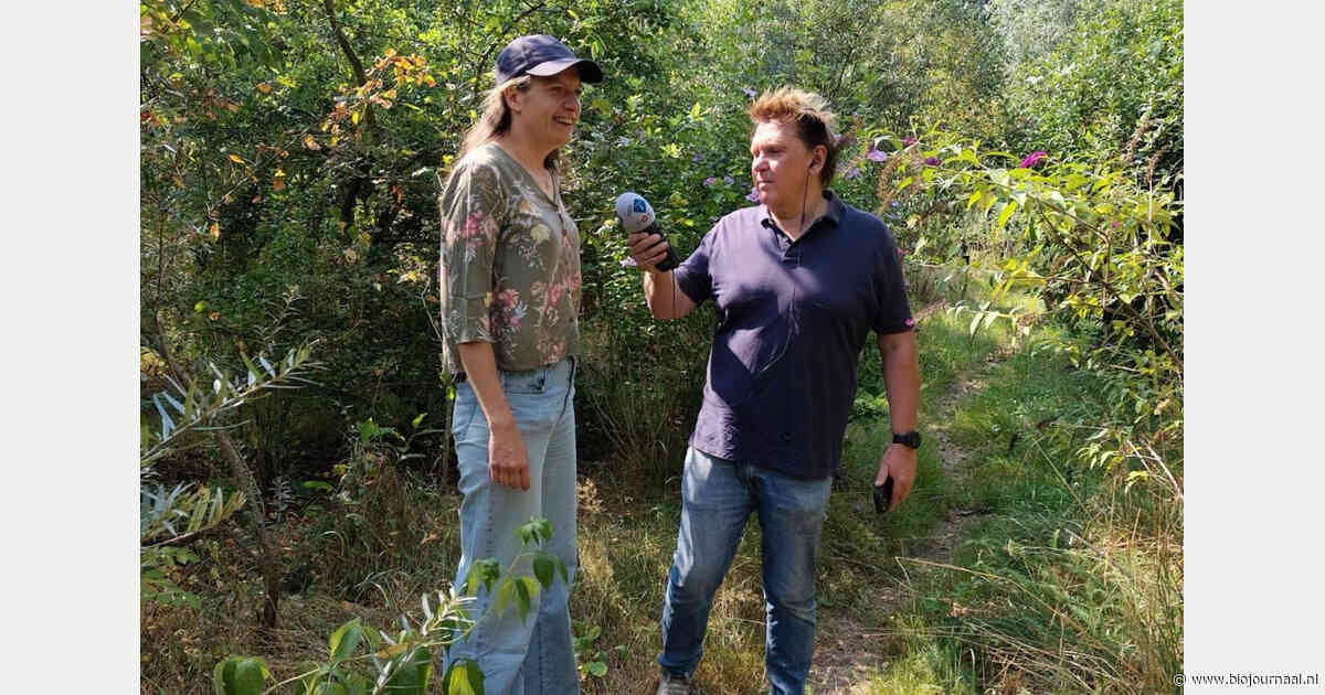 Voedselbos blijft groen tijdens droogte zonder beregening