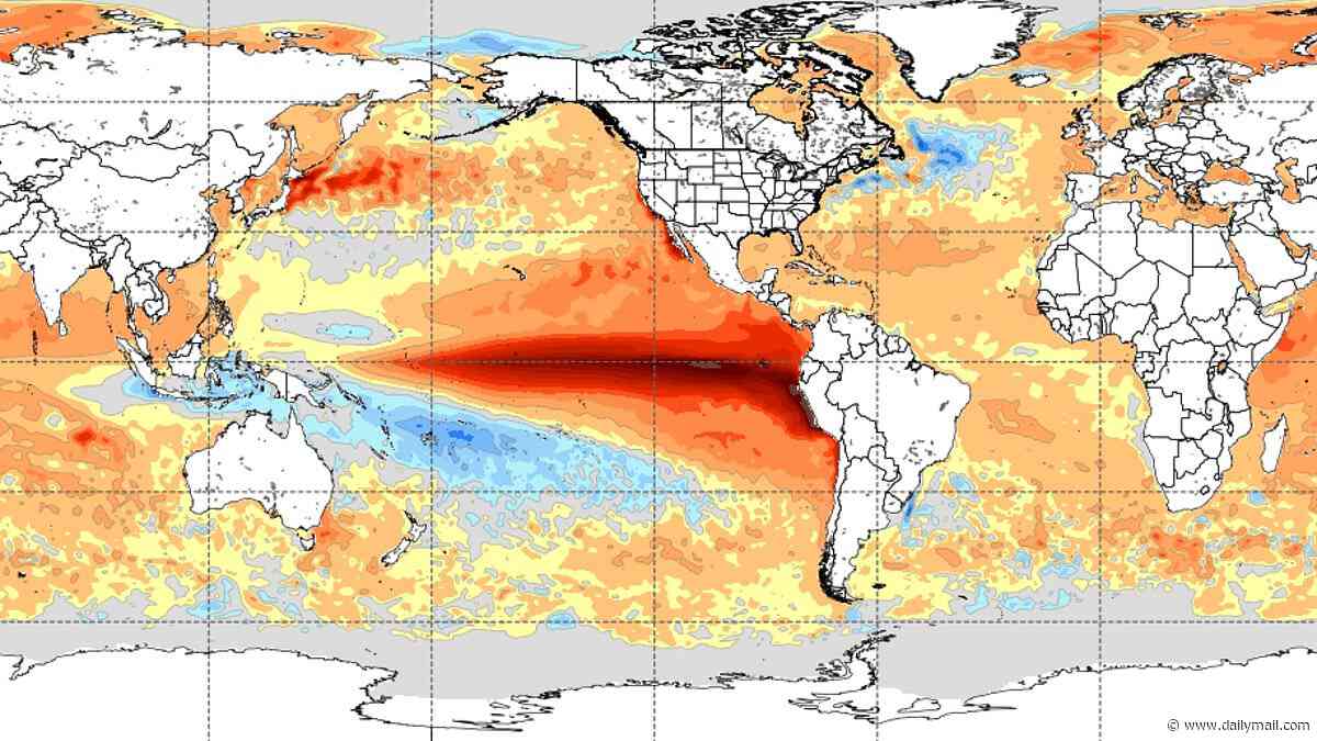 Super El Niño could wreak havoc on your HEALTH: Terrifying report reveals how marine heatwaves can trigger heart and breathing issues - and even PTSD