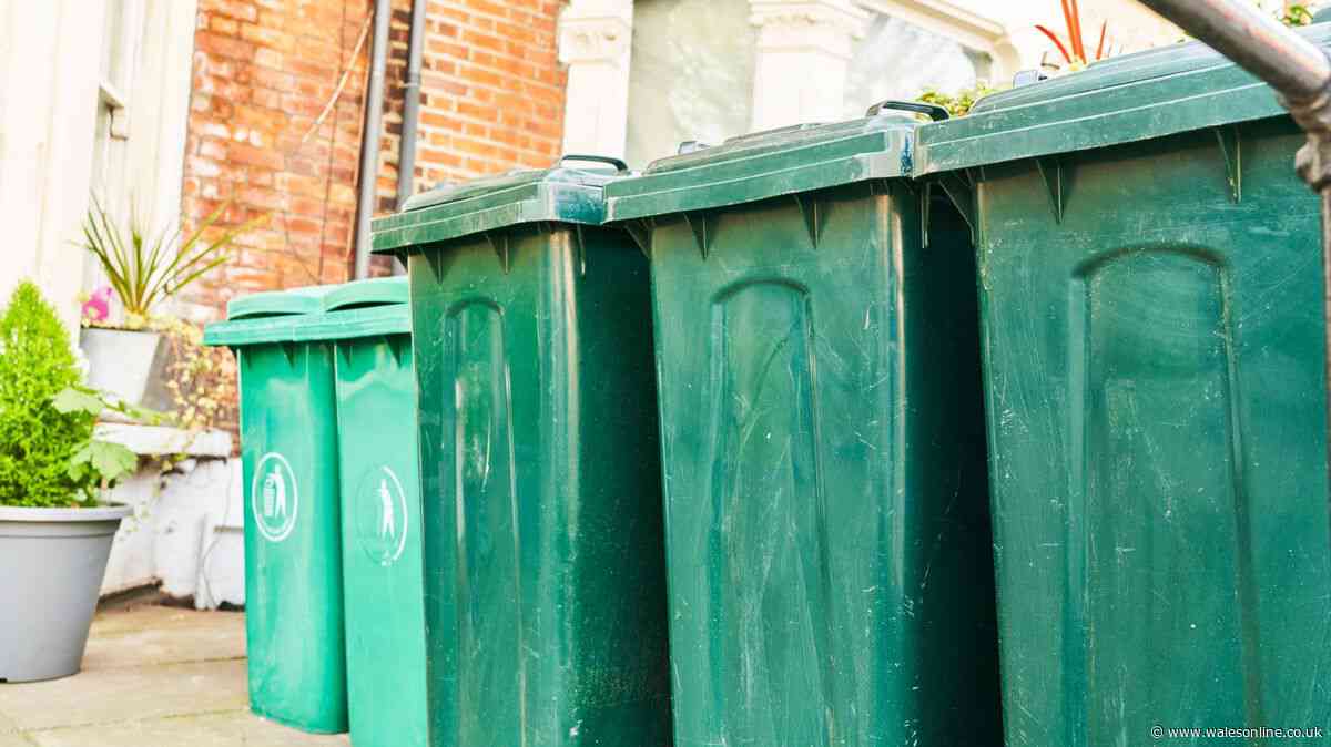 Binman settles debate on what to do with your wheelie bin when you're away