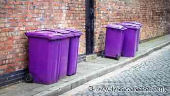Binman settles debate on where to put your wheelie bin when on holiday
