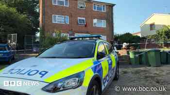 Two arrested after man found dead in early hours