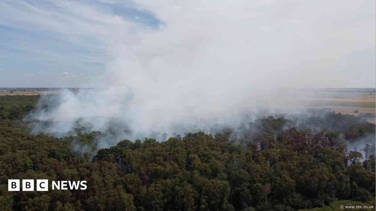 Crews remain at Holme Fen fire for fourth day