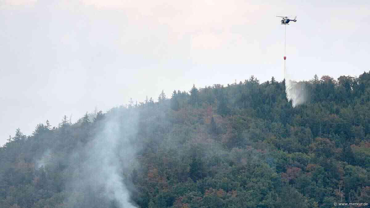 „Wettlauf gegen die Zeit“: Bayerns Wälder sterben – Naturschützer fordern Notprogramm