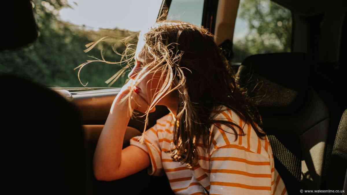 'Powerful' car fan 'pushes cool air across entire backseat' is a 'lifesaver for summer travel'