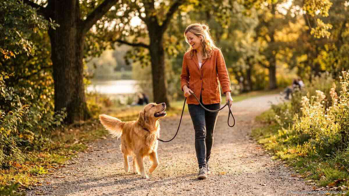 Lächeln lohnt sich: Was Hunde wirklich sehen, wenn wir fröhlich schauen
