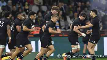 How to watch Sharks vs All Blacks today - TV channel and kick-off time