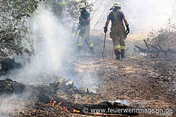550.000 Quadratmeter Waldbrand: Feuerwehren kämpfen an Landesgrenze