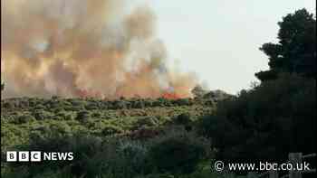 Flames sweep across heathland after van fire