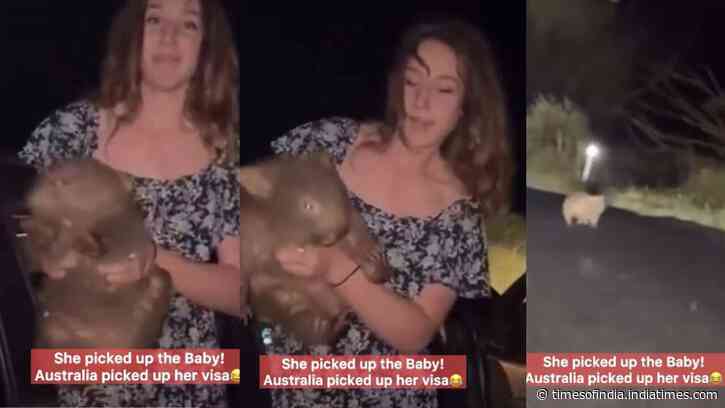 American influencer faced tough action in Australia after picking up a baby wombat