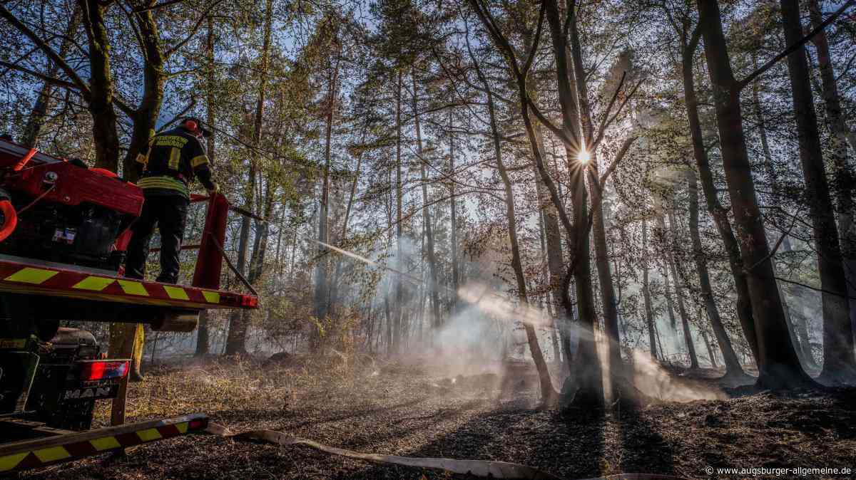Bund Naturschutz in Bayern: Dürre zwingt zu schnellerem Waldumbau