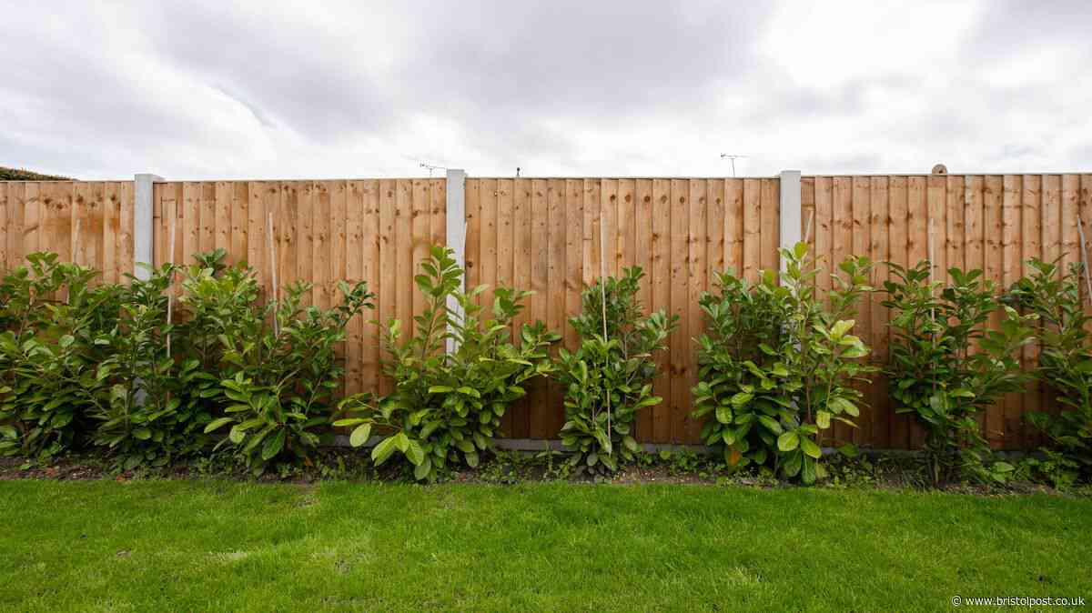 Your legal rights if a neighbour demands you change style of new fence