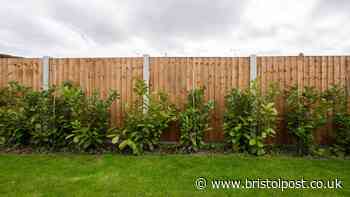 Your legal rights if a neighbour demands you change style of new fence