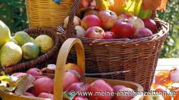 Zwei Früchte helfen bestimmten Gartenvögeln im August