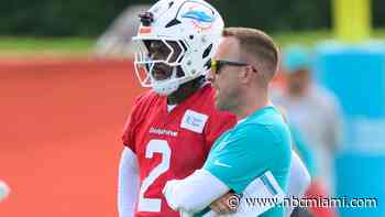 Dolphins' Hafley sees value in mistakes as his young team prepares for preseason