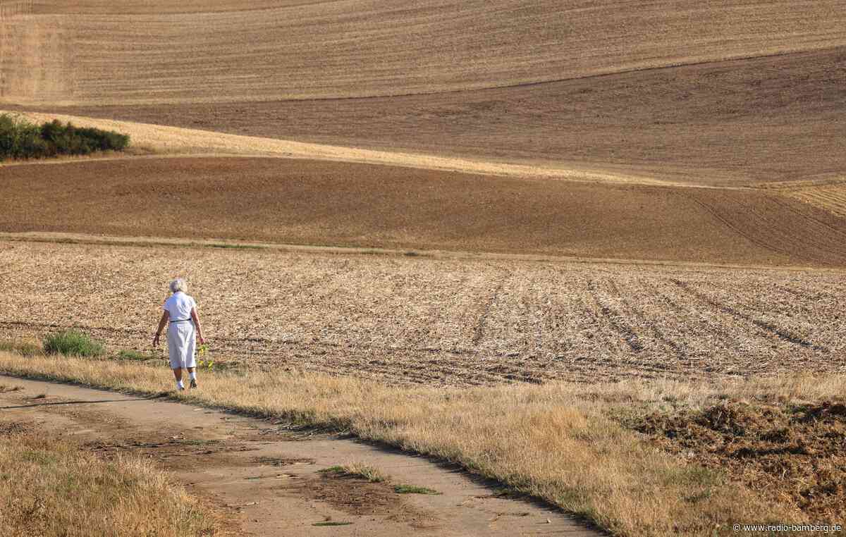 Hirse bis Erdnuss: Neue Hoffnung für Bayerns Landwirtschaft