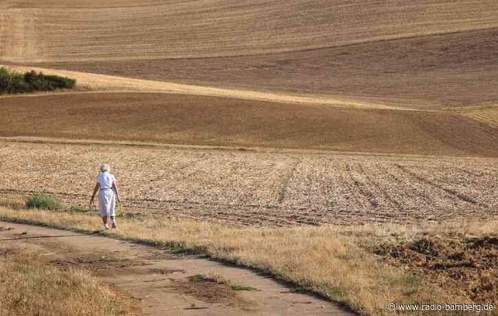 Hirse bis Erdnuss: Neue Hoffnung für Bayerns Landwirtschaft