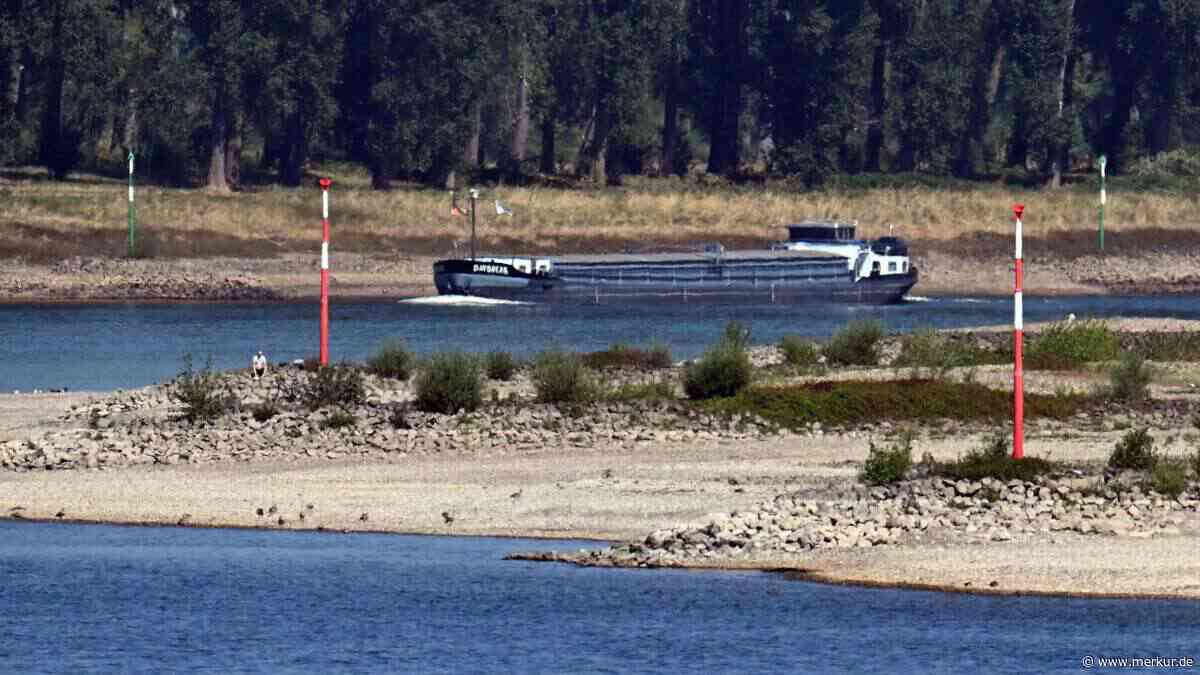 Trockenheit trifft Deutschland hart: Wälder brennen, Rhein schrumpft – und 2,4 Milliarden Euro Schaden drohen