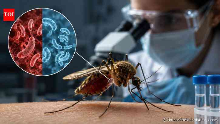 Scientists find a new way to stop malaria: Let mosquitoes live, kill parasites