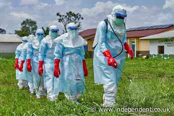 Ebola deaths surge past 2,000 as outbreak spread for months undetected