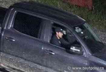 Police seek help in 'significant theft' investigation
