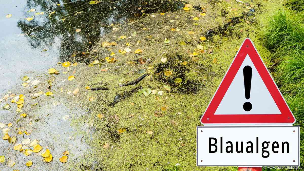 Badewarnung am Baggersee Breitengüßbach