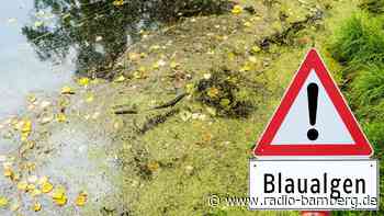 Badewarnung am Baggersee Breitengüßbach