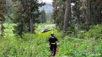 Hiker escapes after being attacked by grizzly bear in backcountry near Pemberton