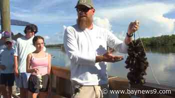 Pasco County high school teacher inspires students to protect our environment