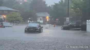 St. Catharines, Ont., mayor calls for long-term action plan to prevent future flooding crises