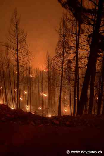 The fight for Faulder: When B.C. brothers fought to save home from raging fire