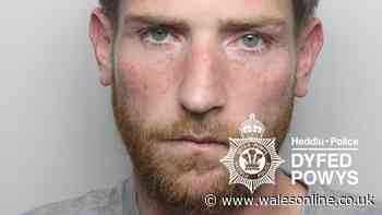 Burglar who claimed he 'got the wrong house' is tasered by police