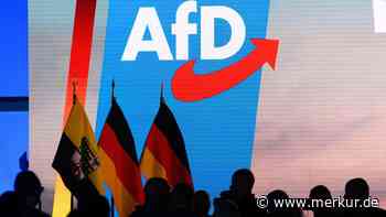 AfD-Wahlprogramm im Realitätscheck: Ökonomen halten Ideen für „nicht finanzierbar“