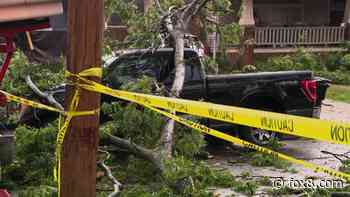 UPDATES: Akron Zoo closes early due to storm damage