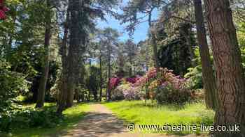 The stunning Cheshire garden with a maze, picnic spots and fun trail