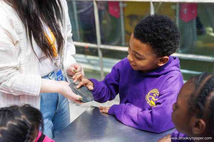 Brooklyn Children’s Museum expands free field trips to 42,000 NYC students thanks to Council funding