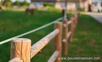 Veiligheid en stijl voor jouw paardenomheining