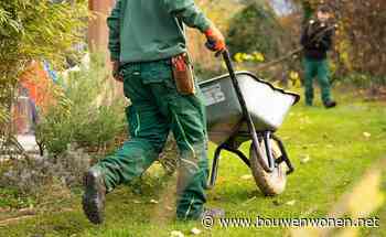 Voor of na de verbouwing: wanneer pak je de tuin het beste aan?