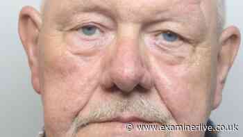 Elderly paedophile turns up at Sheffield station with Viagra to meet 'girl', 14