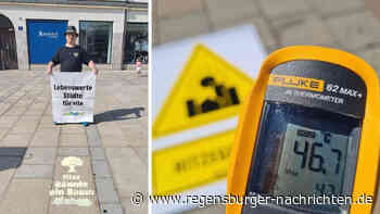 ?Hier k?nnte ein Baum stehen? ? Wo in Regensburg mehr Gr?n f?r Abk?hlung sorgen k?nnte