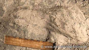 Fossile Fussabdrücke eines 1,4 Millionen Jahre alten Menschenverwandten