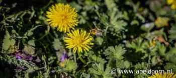 Week van de Biodiversiteit