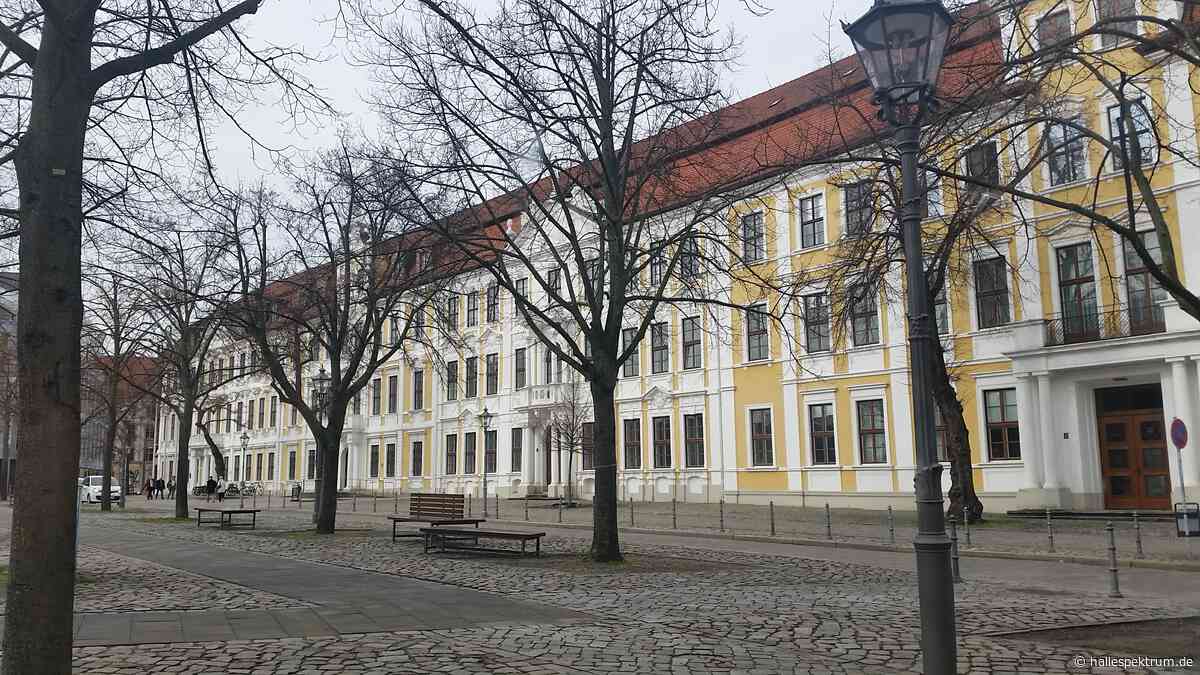 MDR-Recherche: AfD-Abgeordnete in Sachsen-Anhalt beschäftigen besonders viele Mitarbeiter