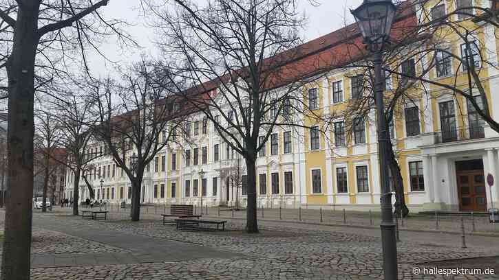 MDR-Recherche: AfD-Abgeordnete in Sachsen-Anhalt beschäftigen besonders viele Mitarbeiter