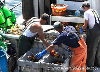 Appeals Court Says Lobstermen’s Defamation Suit Raises First Amendment Questions