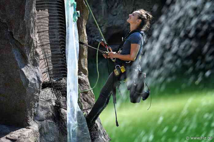So schön wird das neue „Feuerland“ im Zoo + Galerie